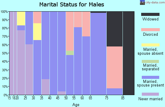 Zip code 84629 marital status for males