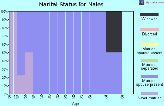 Zip code 84630 marital status for males