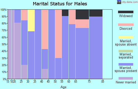 Zip code 84632 marital status for males