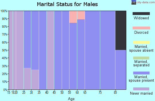 Zip code 84636 marital status for males