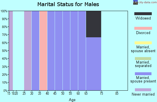 Zip code 84638 marital status for males