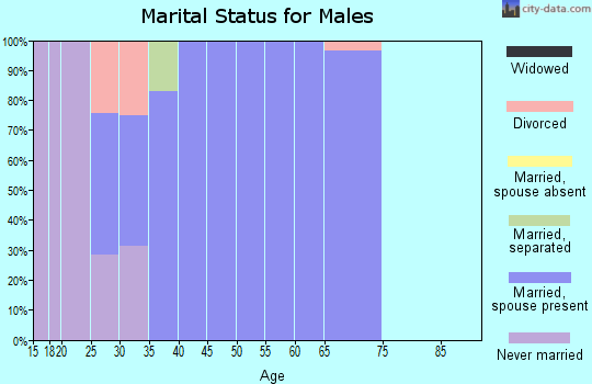Zip code 84639 marital status for males