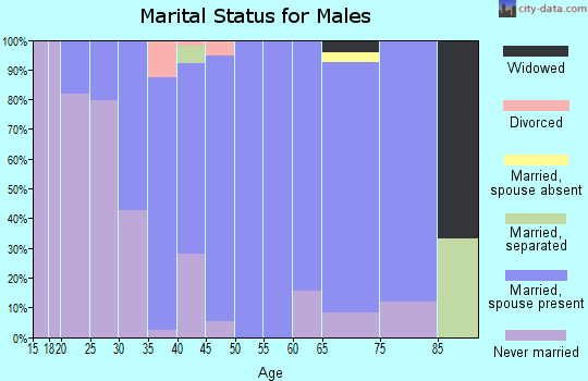Zip code 84642 marital status for males