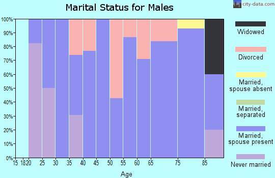 Zip code 84643 marital status for males