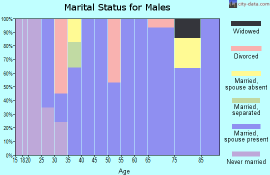 Zip code 84646 marital status for males