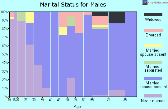 Zip code 84647 marital status for males