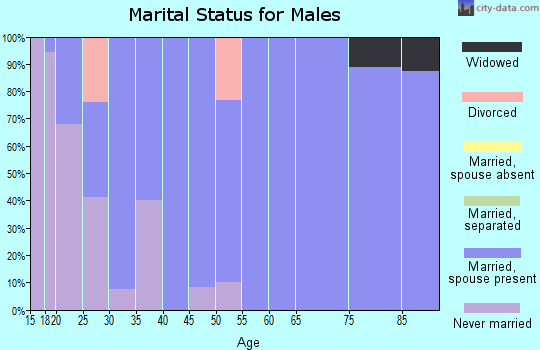 Zip code 84649 marital status for males
