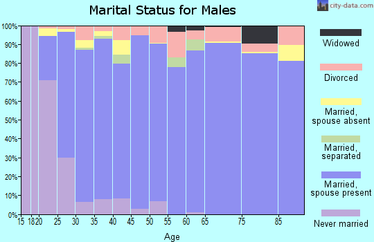 Zip code 84651 marital status for males