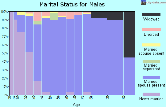 Zip code 84653 marital status for males