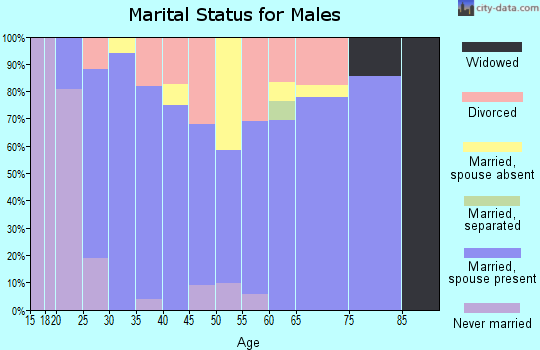 Zip code 84654 marital status for males