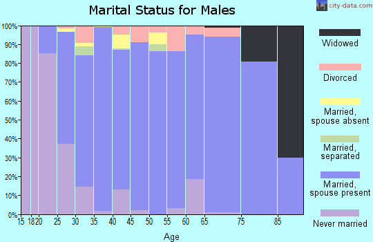 Zip code 84655 marital status for males