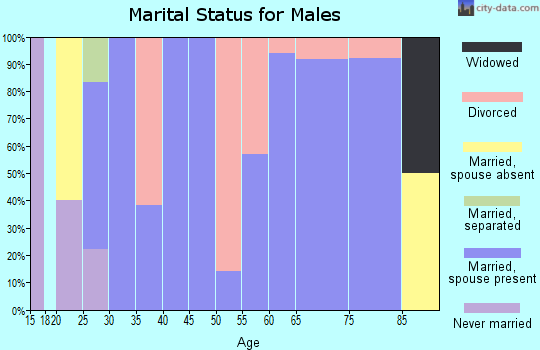 Zip code 84656 marital status for males