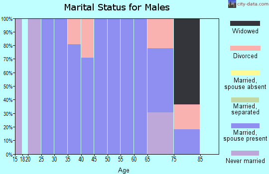 Zip code 84657 marital status for males