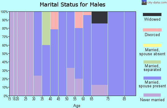 Zip code 84662 marital status for males