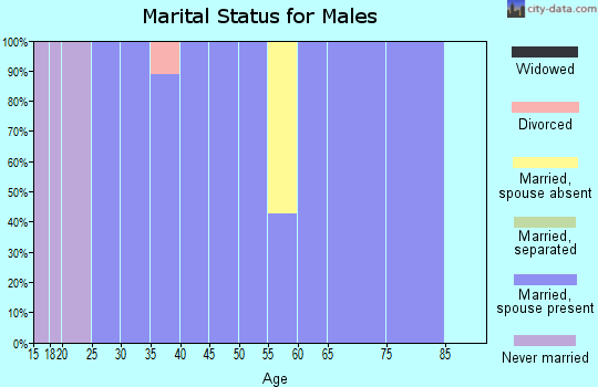 Zip code 84667 marital status for males