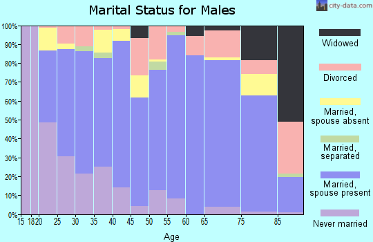 Zip code 84701 marital status for males