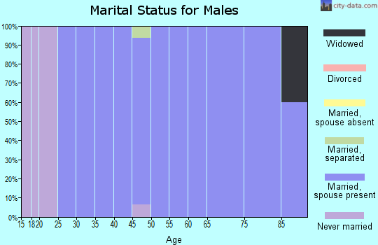 Zip code 84711 marital status for males