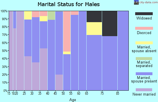Zip code 84713 marital status for males