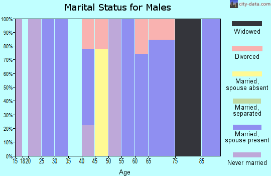 Zip code 84722 marital status for males