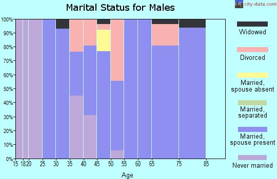 Zip code 84723 marital status for males