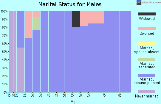 Zip code 84725 marital status for males