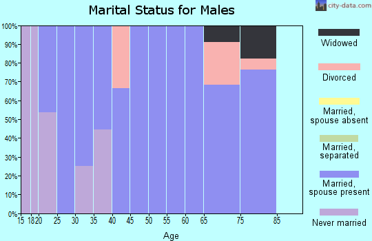 Zip code 84729 marital status for males