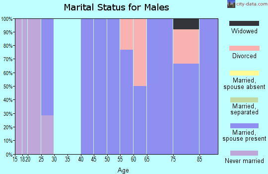 Zip code 84730 marital status for males