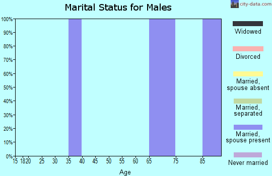Zip code 84733 marital status for males