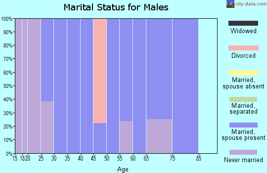 Zip code 84736 marital status for males