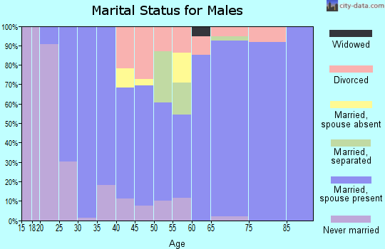 Zip code 84738 marital status for males
