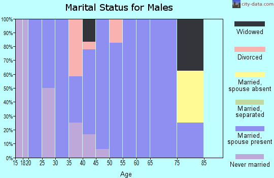 Zip code 84739 marital status for males