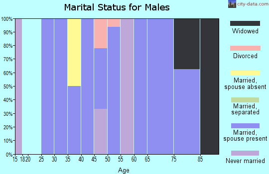 Zip code 84744 marital status for males