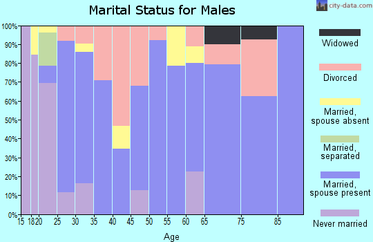 Zip code 84745 marital status for males