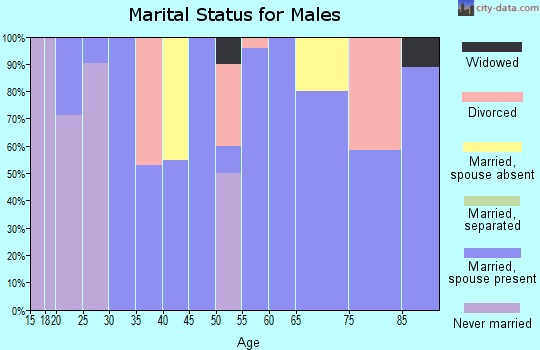 Zip code 84747 marital status for males