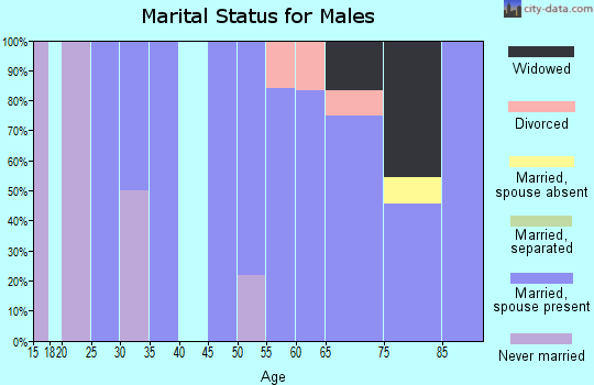 Zip code 84750 marital status for males