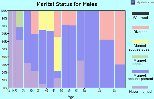 Zip code 84751 marital status for males