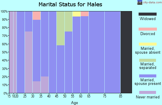 Zip code 84752 marital status for males