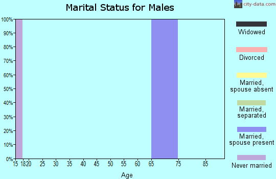 Zip code 84753 marital status for males