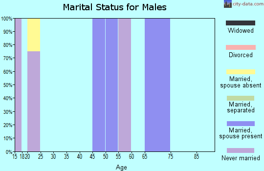 Zip code 84755 marital status for males