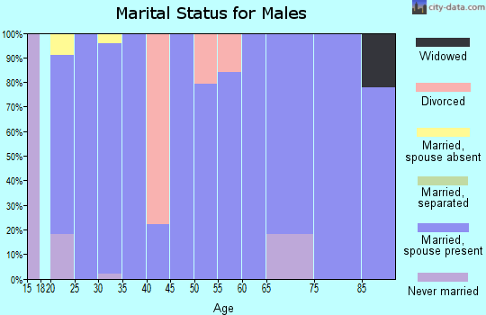 Zip code 84758 marital status for males