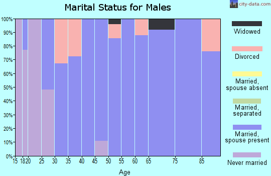 Zip code 84765 marital status for males