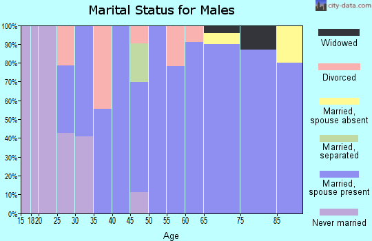 Zip code 84774 marital status for males