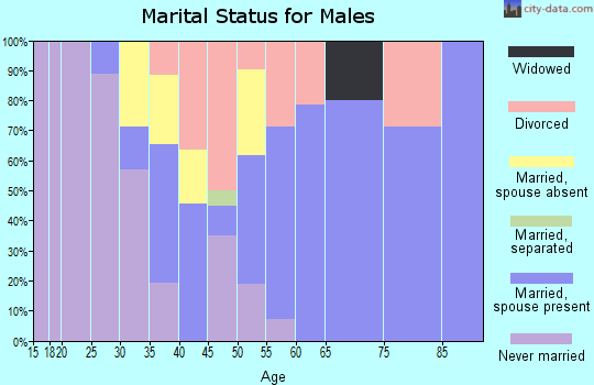 Zip code 84779 marital status for males