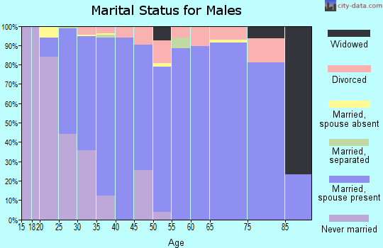 Zip code 84780 marital status for males