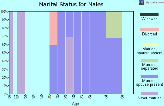 Zip code 84782 marital status for males