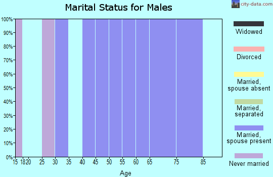Zip code 84783 marital status for males