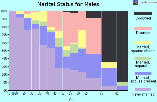 Zip code 85003 marital status for males
