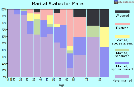 Zip code 85004 marital status for males