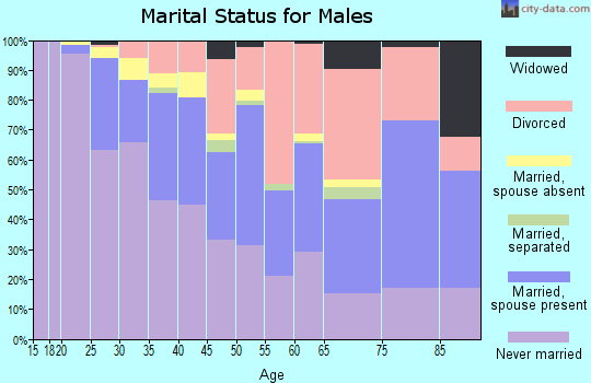 Zip code 85013 marital status for males