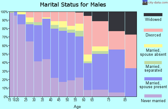 Zip code 85017 marital status for males